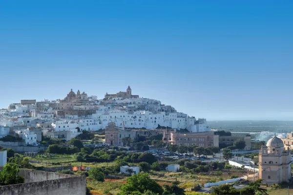 New Zealand Honeymoon Scene