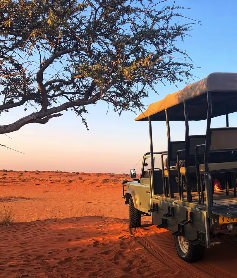 botswana-safari-tours