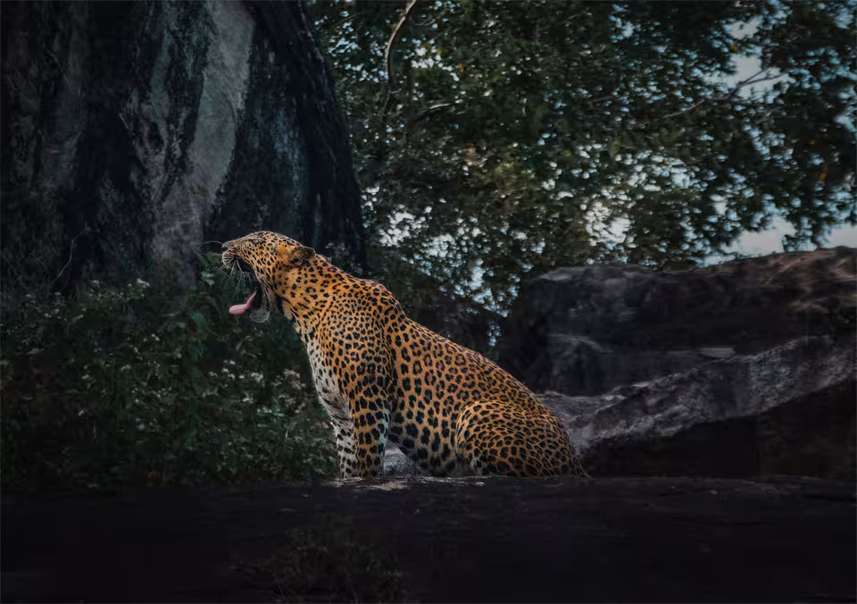 classic-sri-lanka-tours