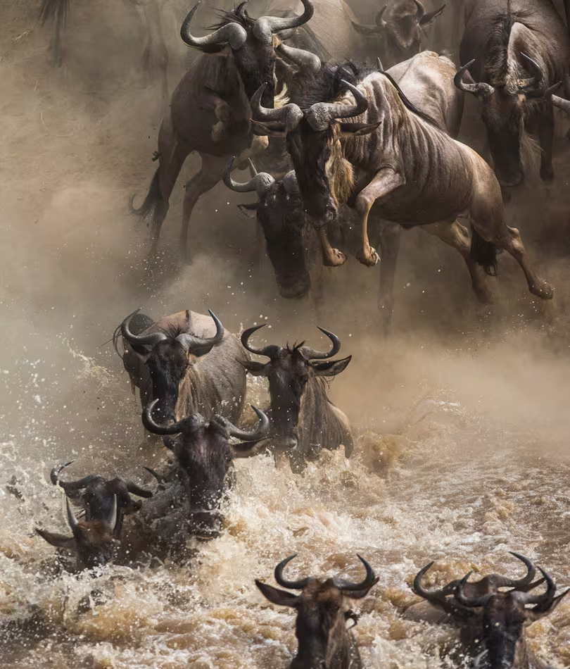 great-migration-tours